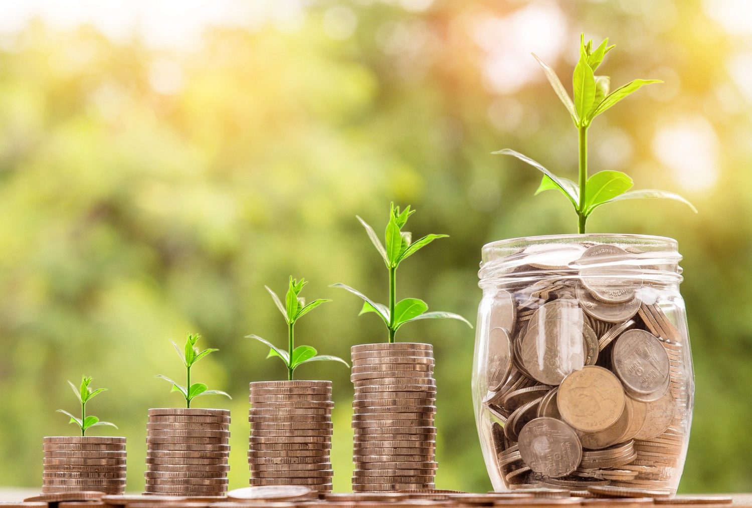 Stacks of coins with plants growing out of them