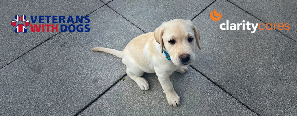 Clarity sponsored assistance dog Sunny.
